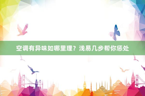 空调有异味如哪里理？浅易几步帮你惩处