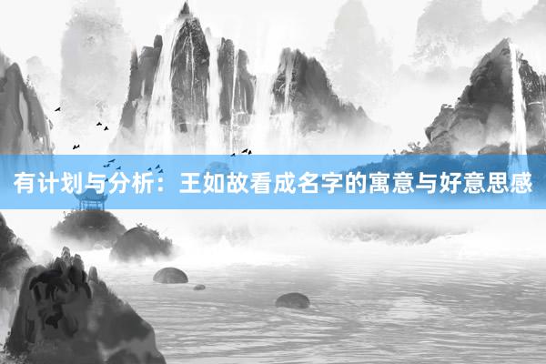 有计划与分析：王如故看成名字的寓意与好意思感